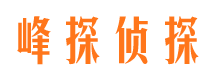 格尔木市场调查